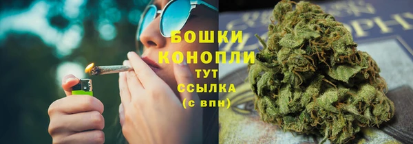 молекула духа Аркадак