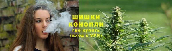 молекула духа Аркадак