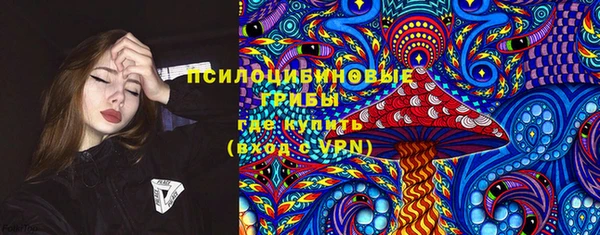 молекула духа Аркадак
